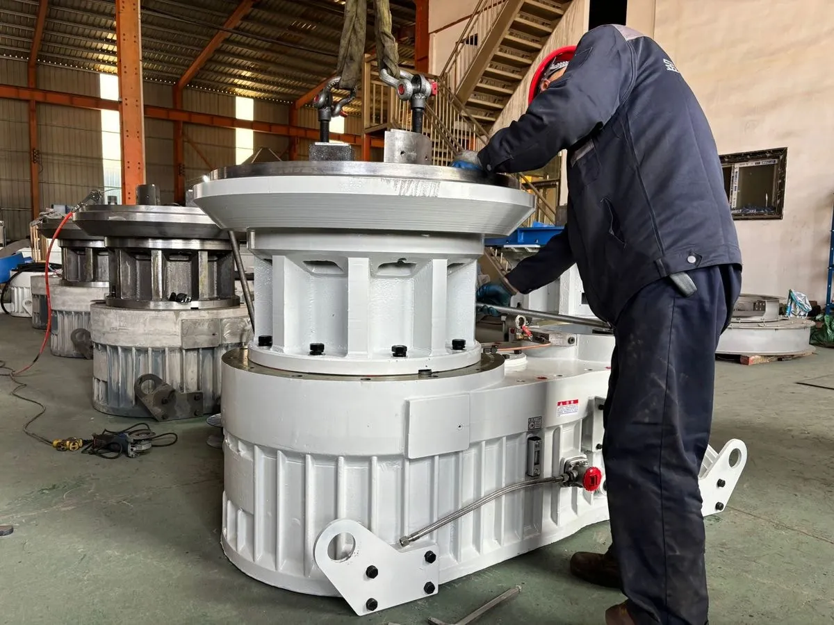 Pellet mill internal structure inspection